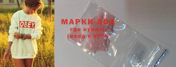 гашик Балахна