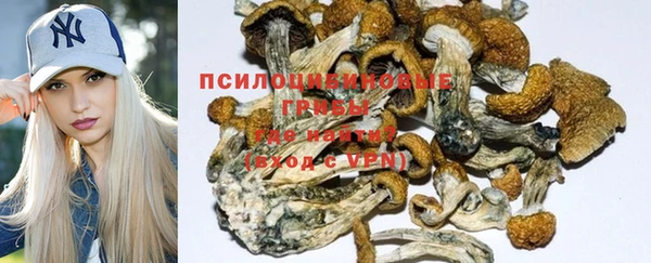 гашик Балахна