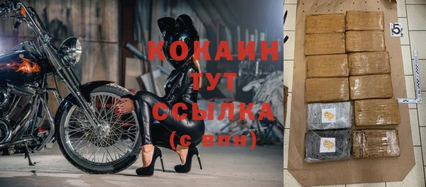гашик Балахна