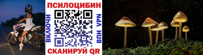 Псилоцибиновые грибы прущие грибы Купить Сосновка